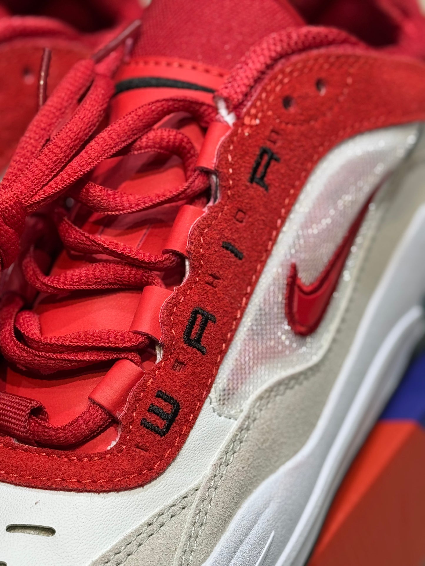 Nike sb ishod