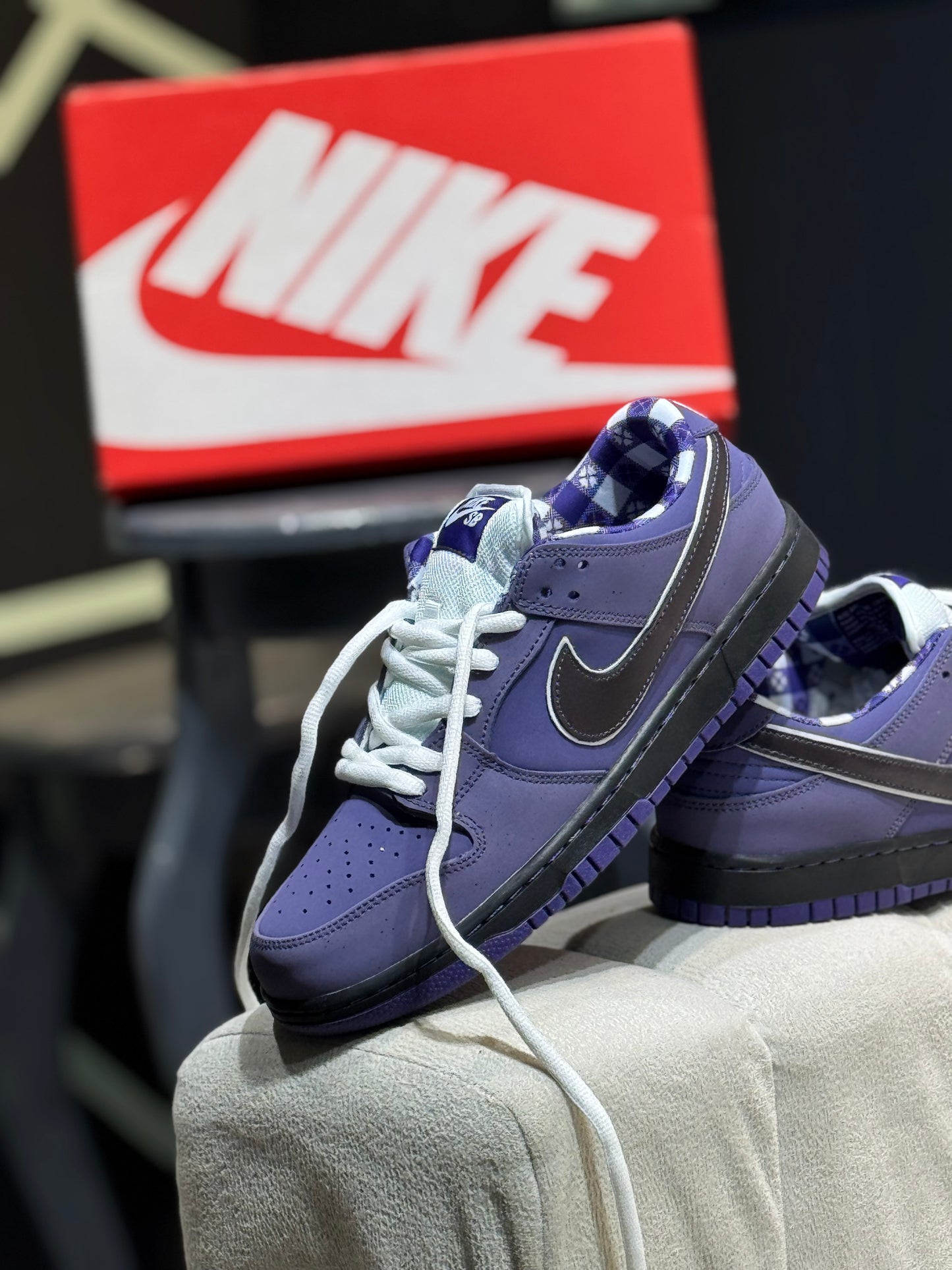 Nike sb dunk  purple lobster