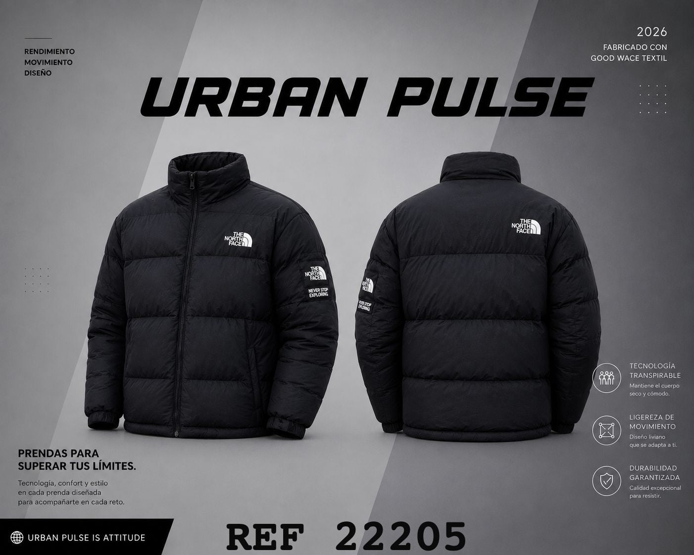 Chaqueta north face