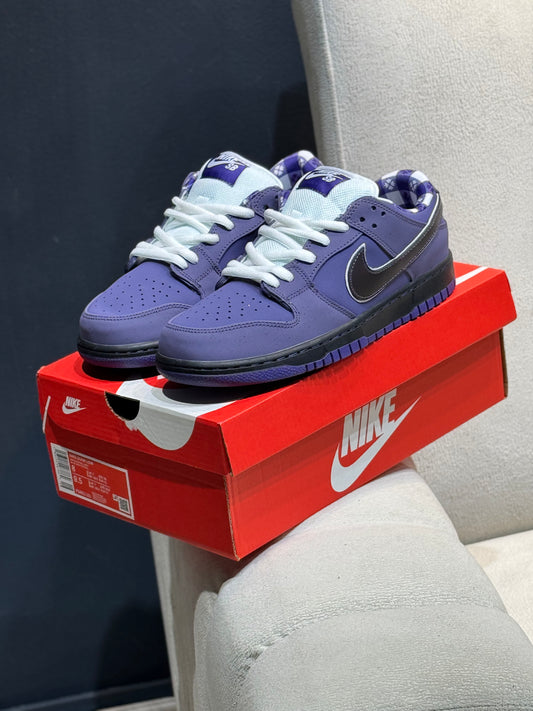 Nike sb dunk  purple lobster