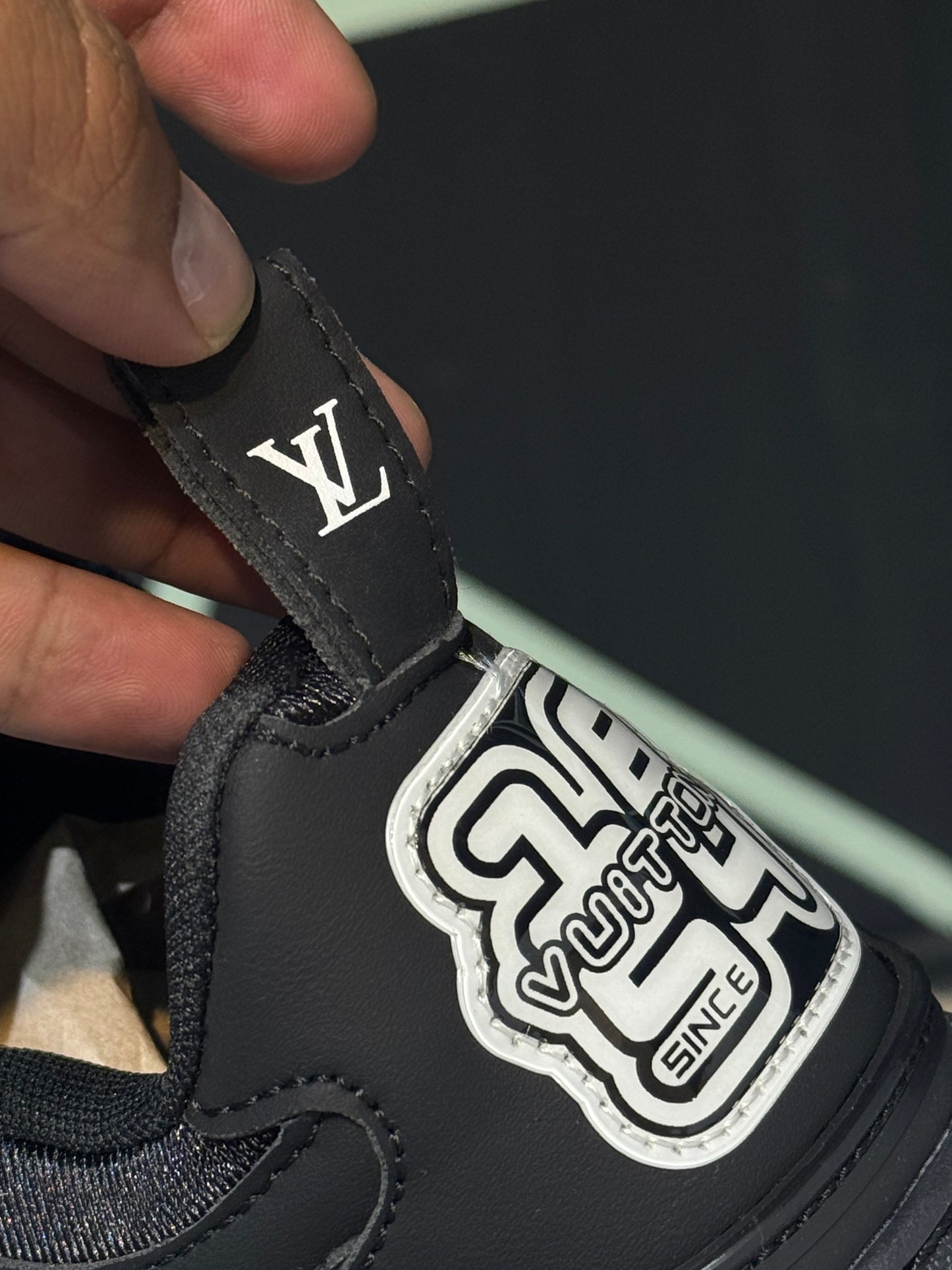 Louis vuitton skate