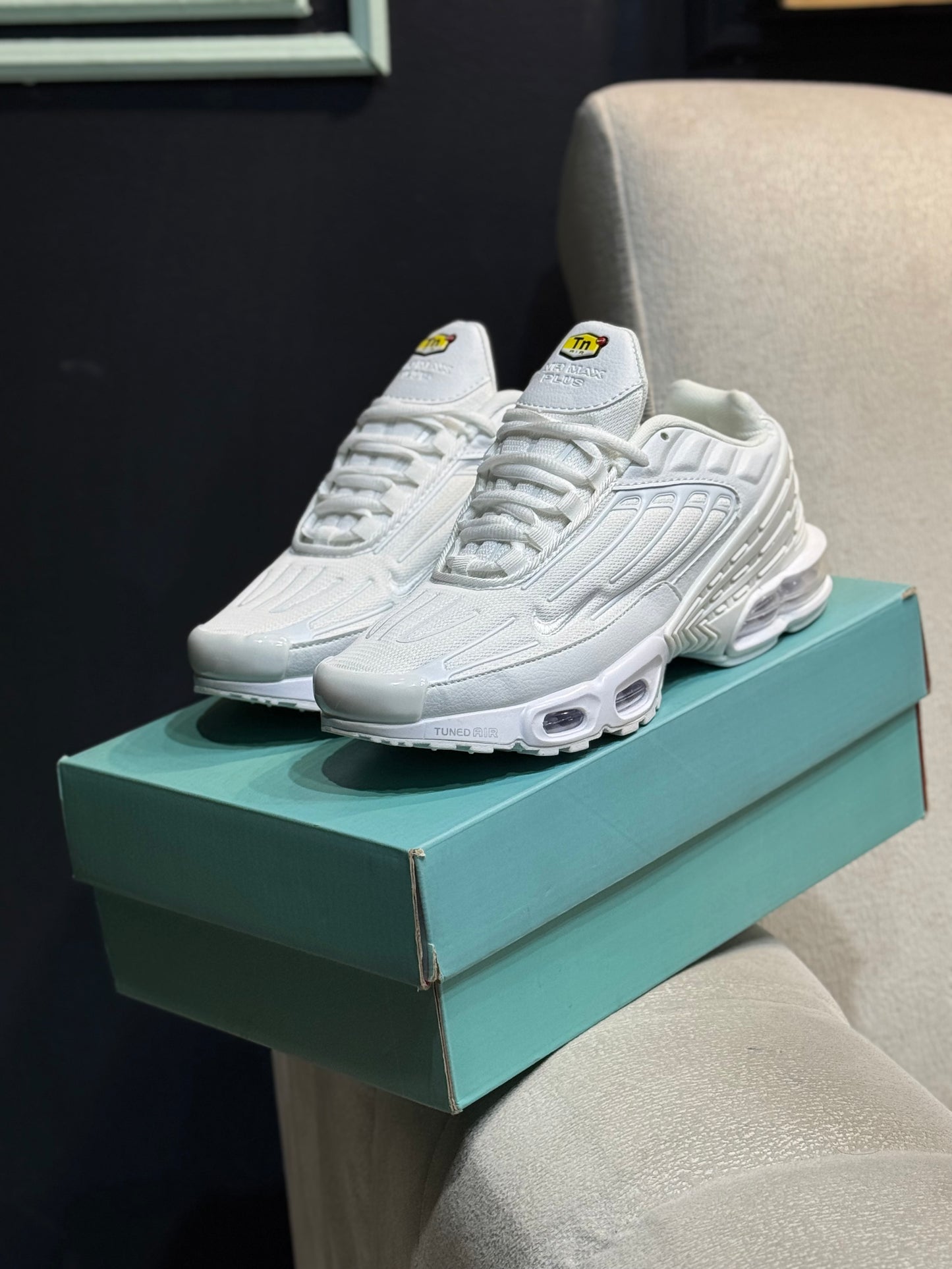 Nike Air Max tn plus