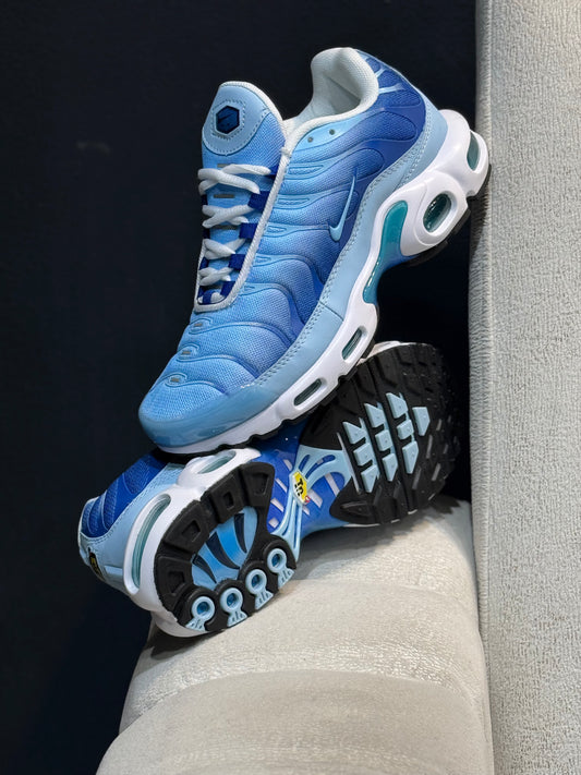 Nike Air Max tn