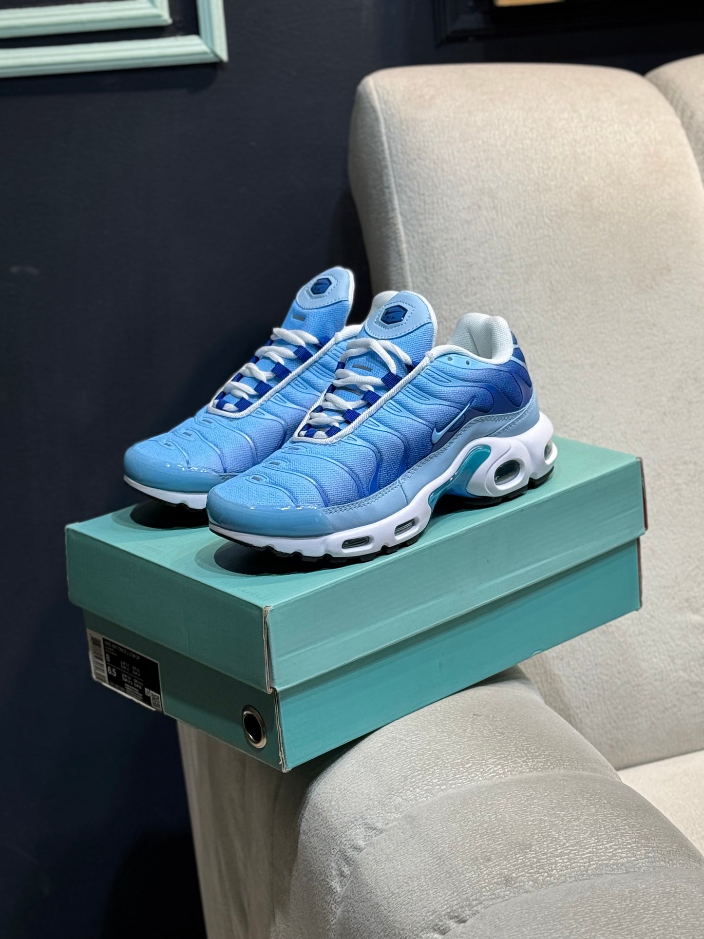 Nike Air Max tn