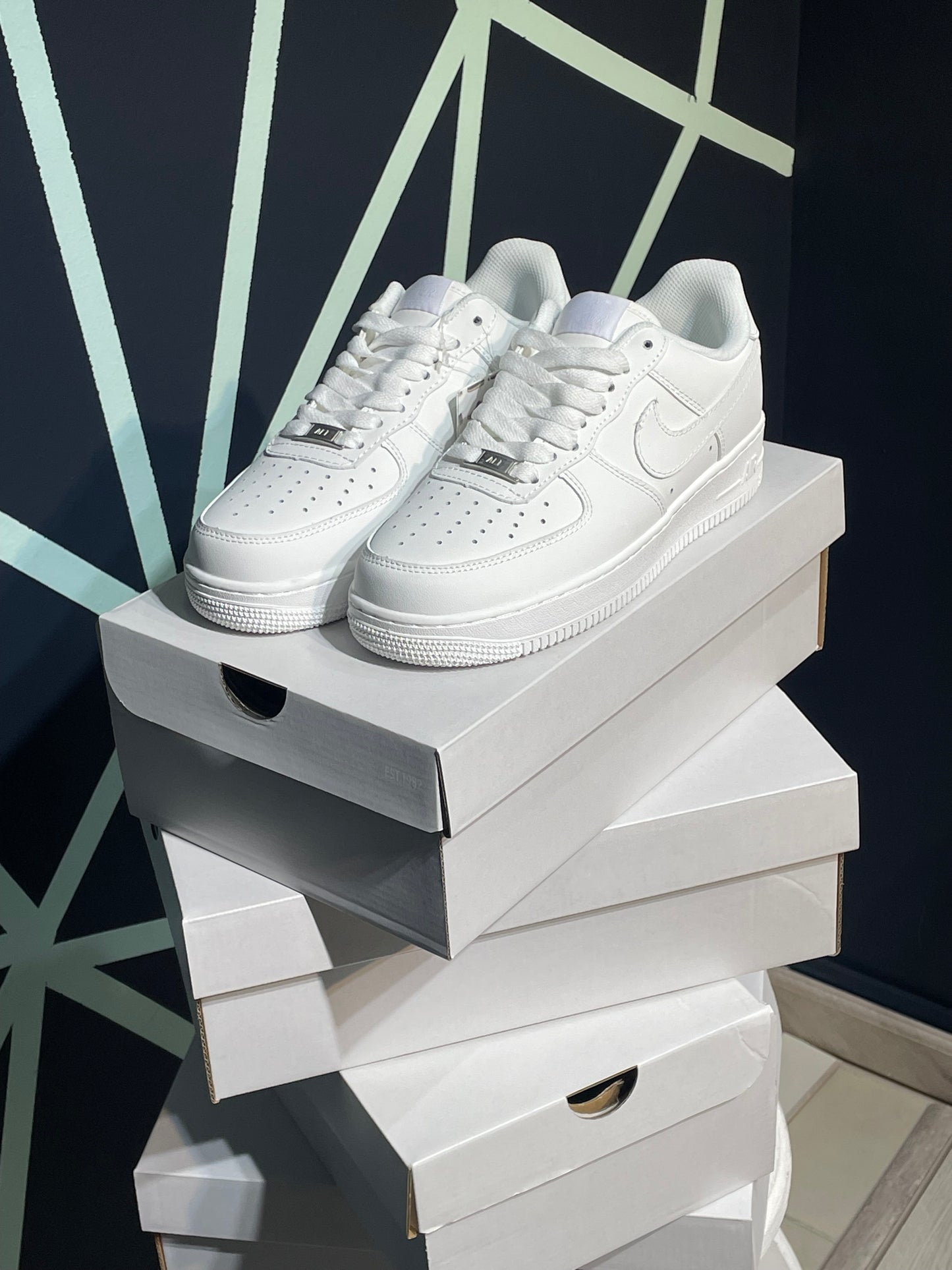 Nike Force one zapato clásica