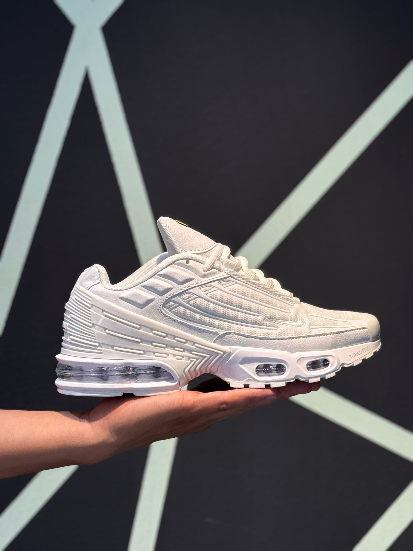 Nike Air Max tn plus