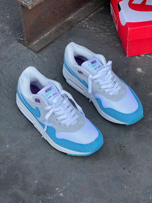 Nike Air Max 1