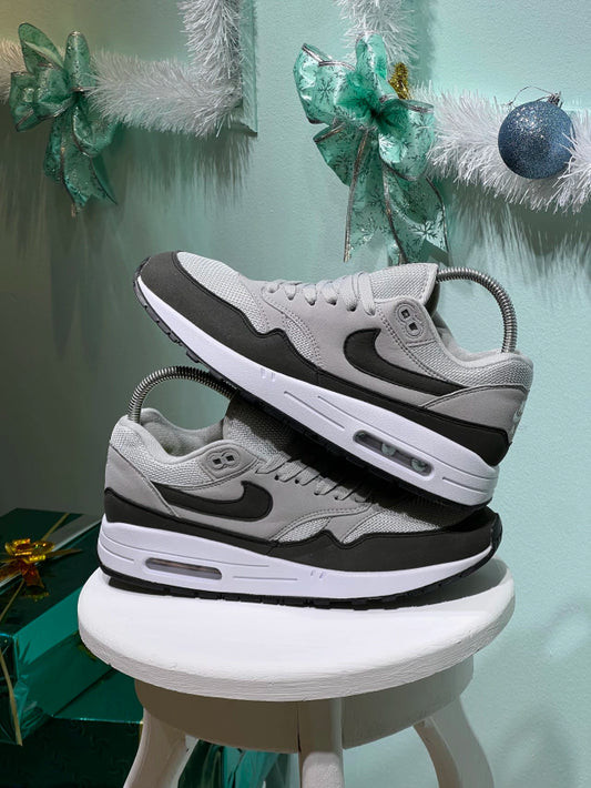 Nike Air Max 1