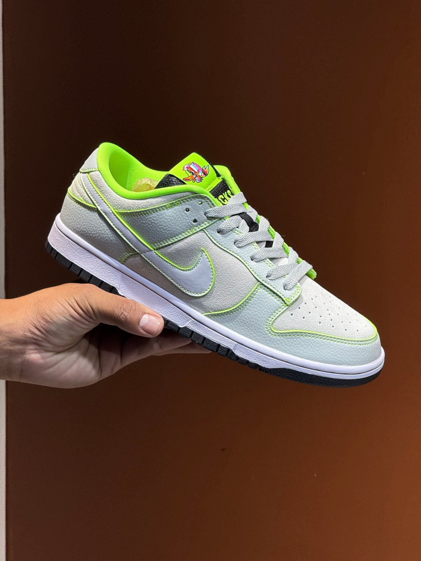 Nike dunk sb x ducks