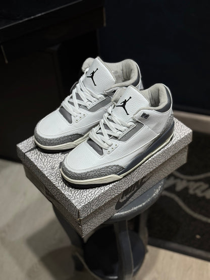 Jordan retro 3 animal icon