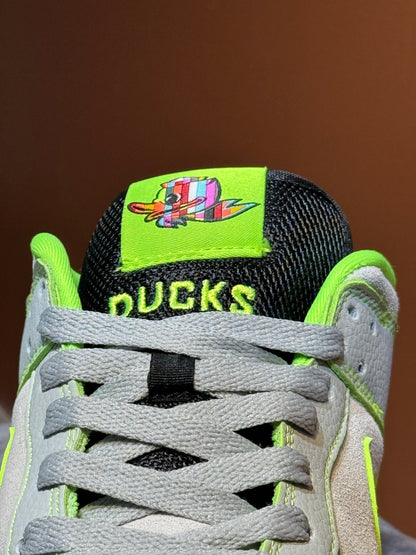Nike dunk sb x ducks
