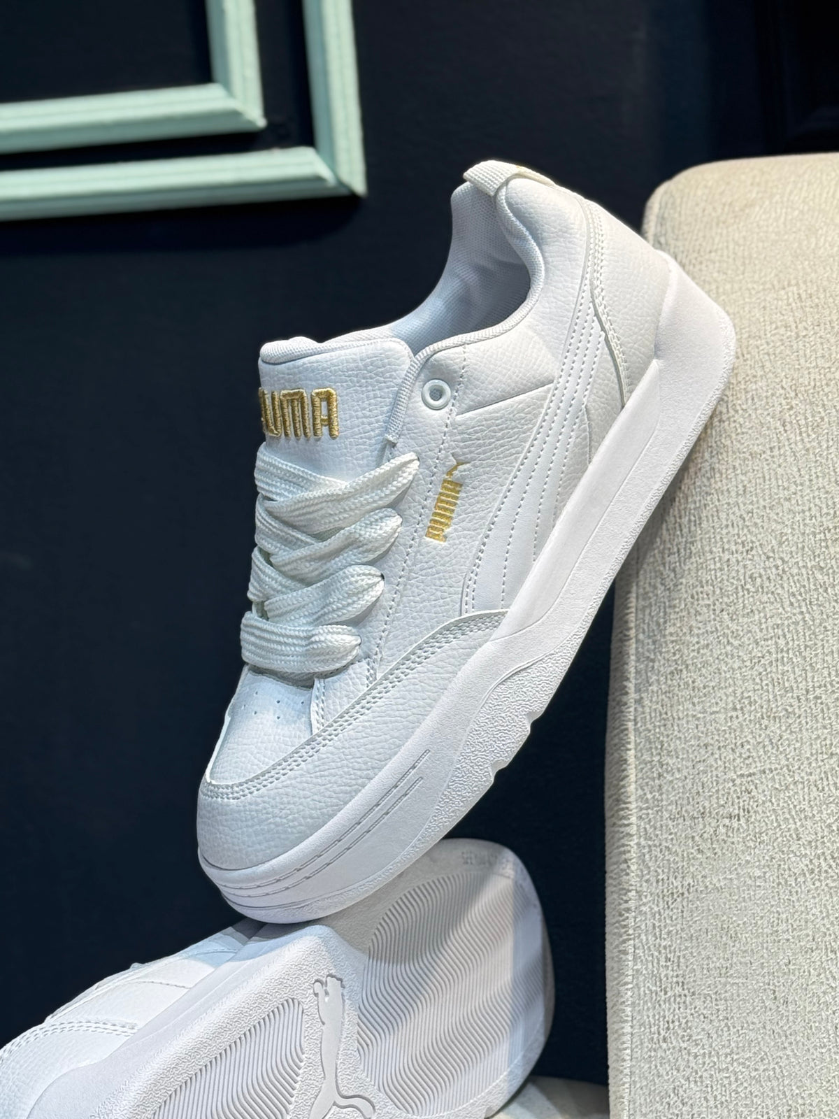 Puma park