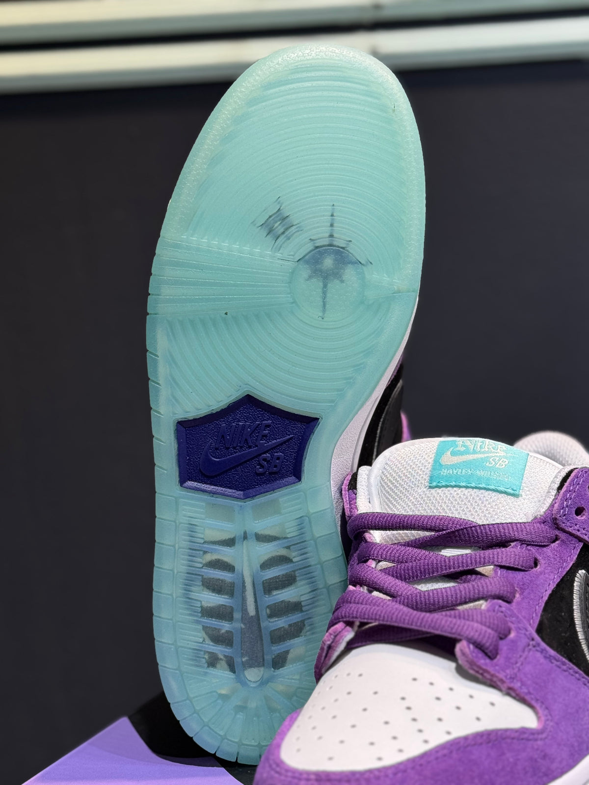 Nike dunk sb hayley Wilson