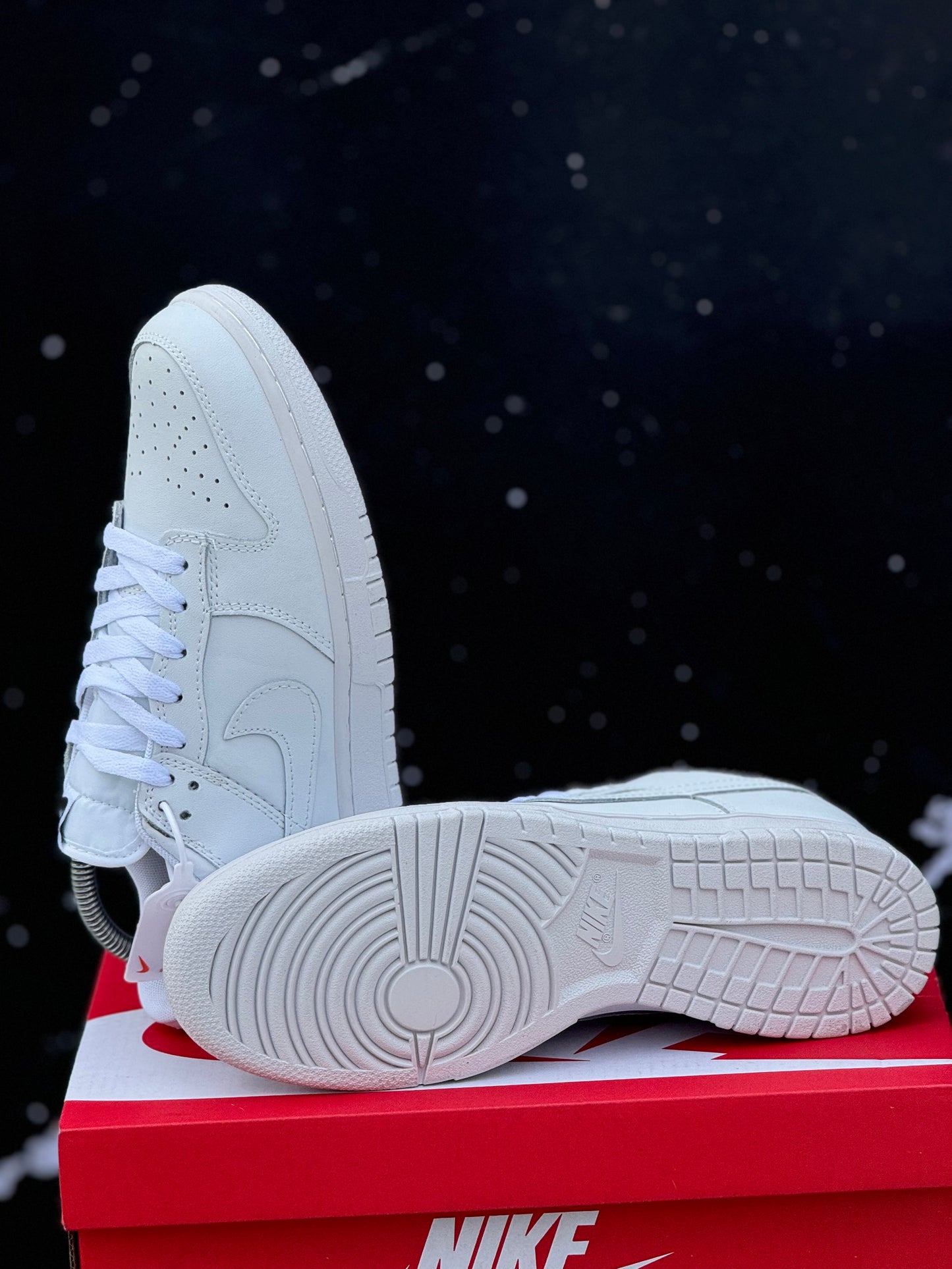 Nike dunk white