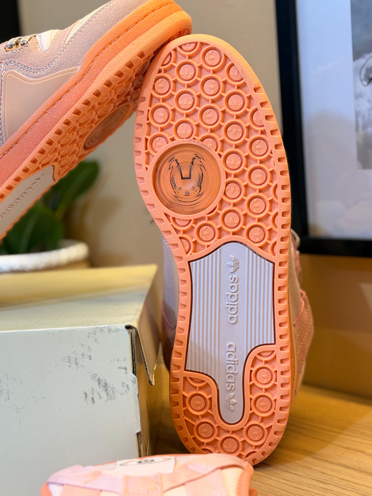 Adidas forum x bad bunny