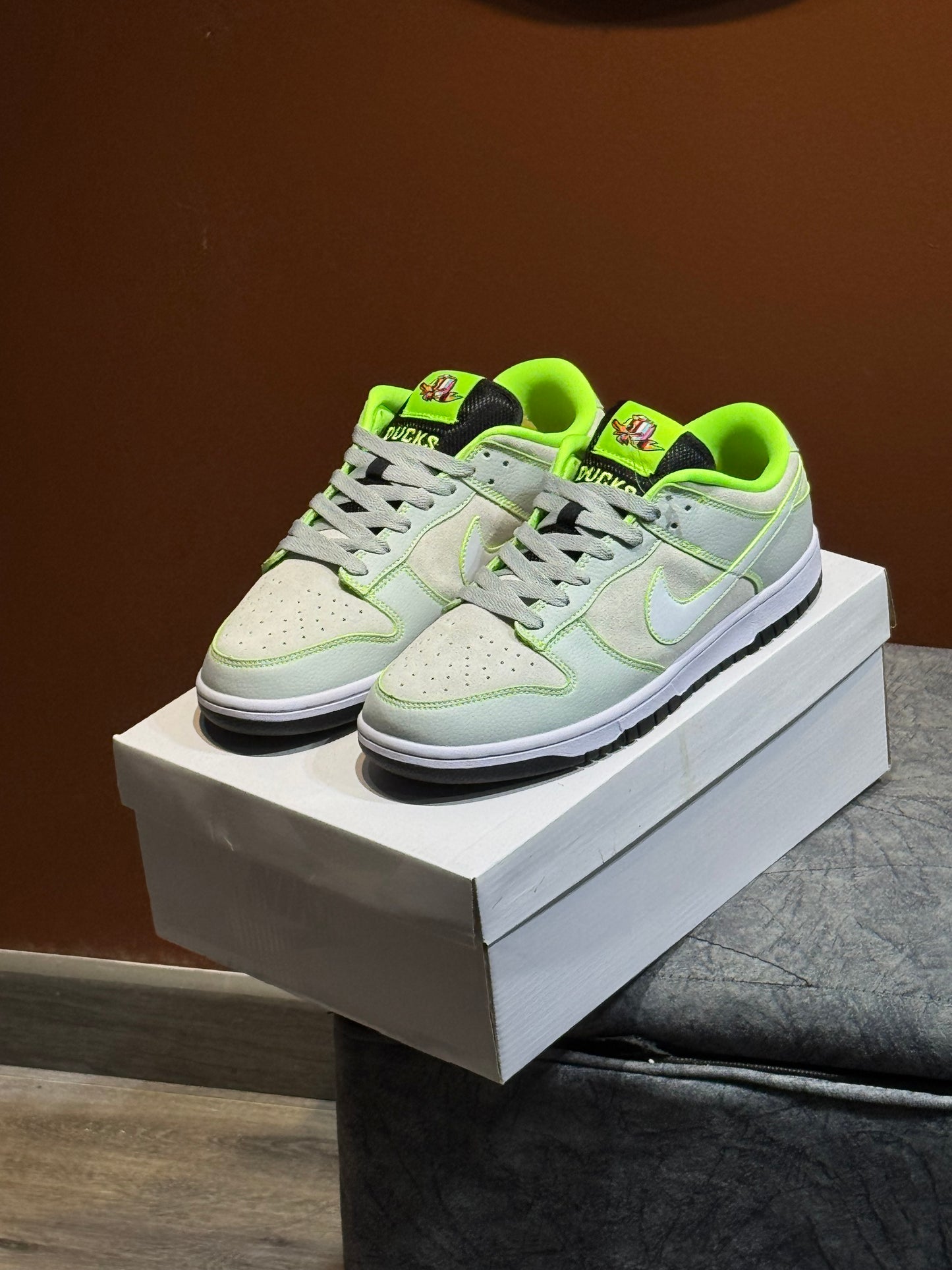 Nike dunk sb x ducks