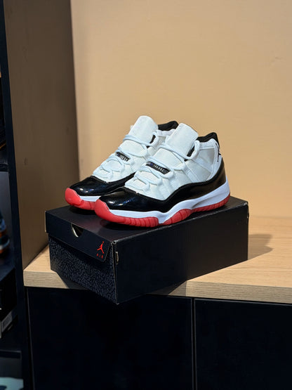 Jordan retro 11