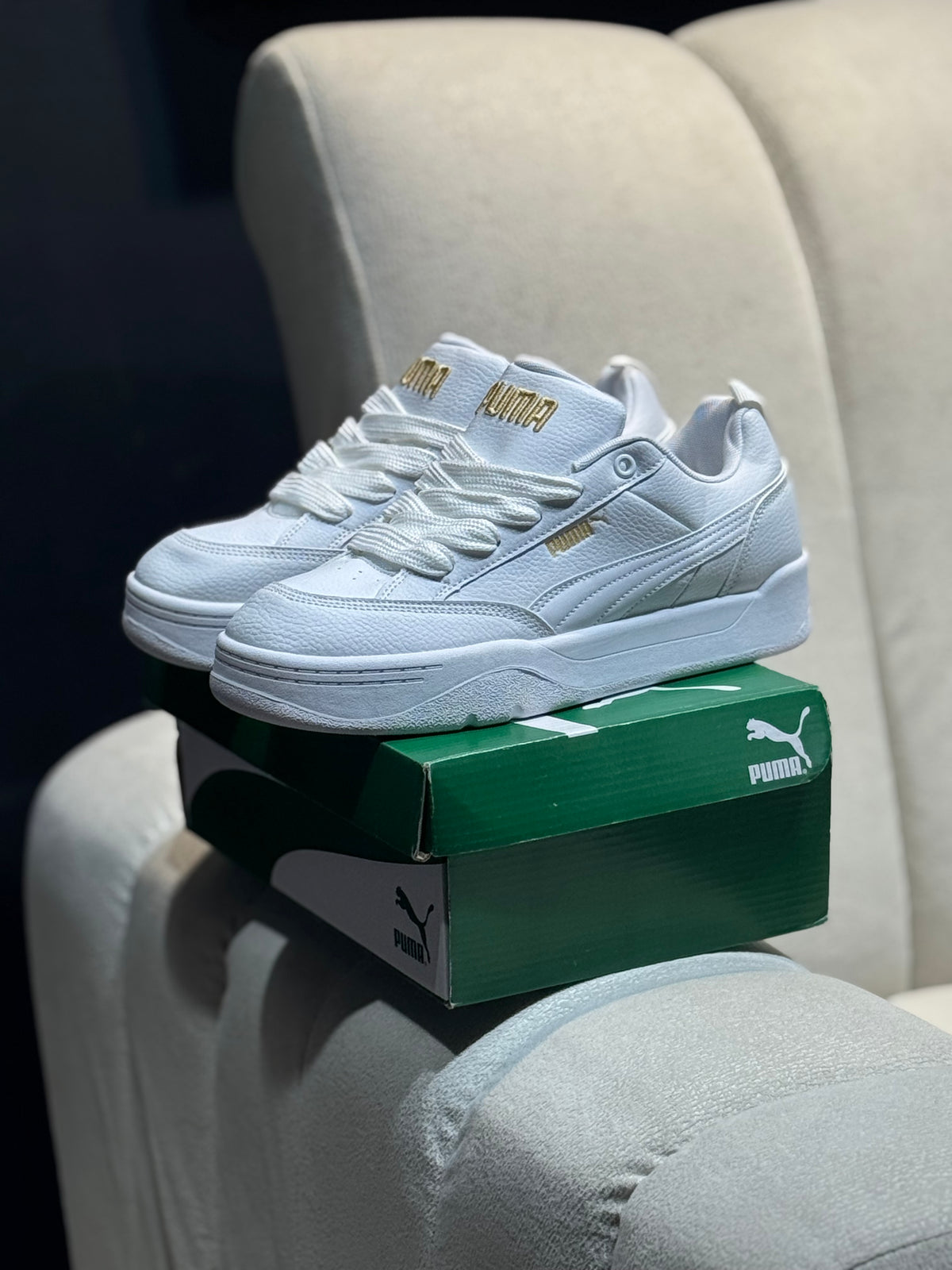 Puma park