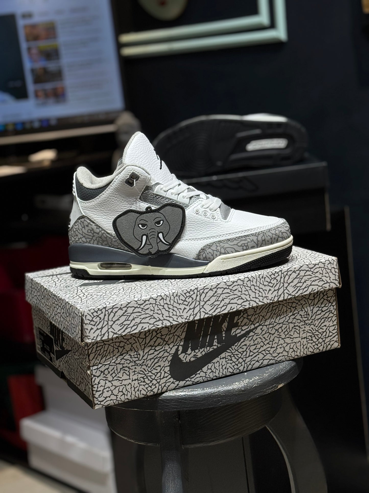 Jordan retro 3 animal icon