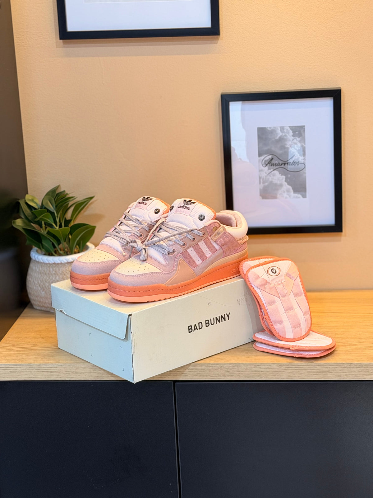 Adidas forum x bad bunny
