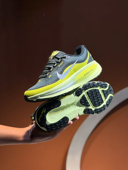 Nike vomero x goretex