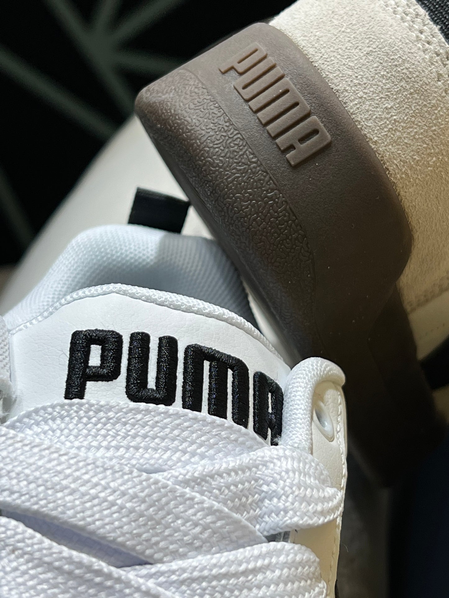 Puma park