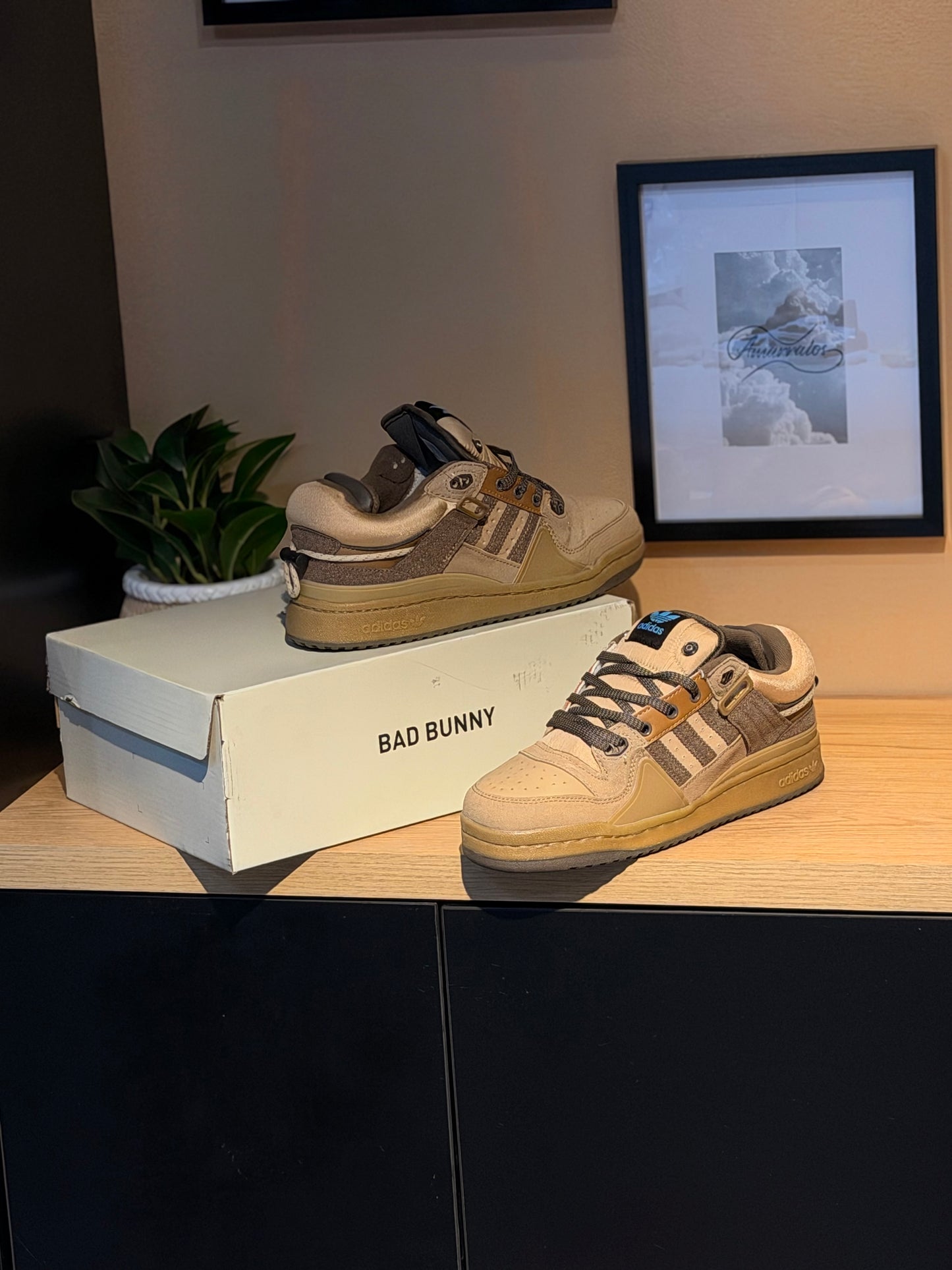 Adidas forum x bad bonny