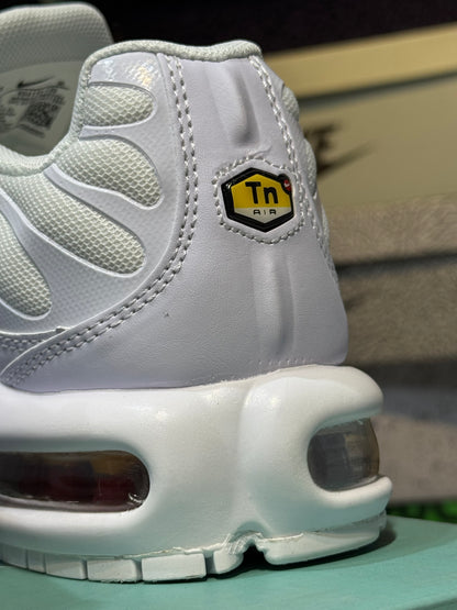 Nike Air Max tn white