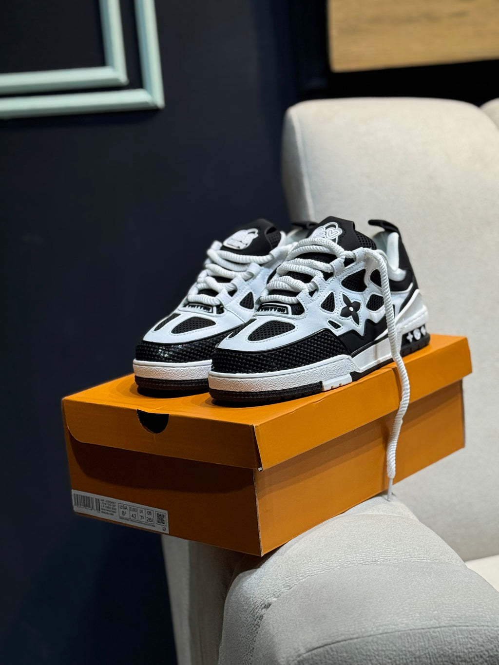 Louis Vuitton skate