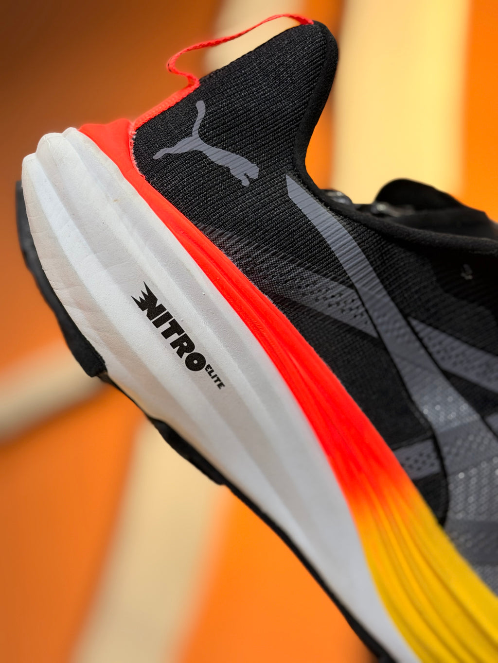 Puma nitro