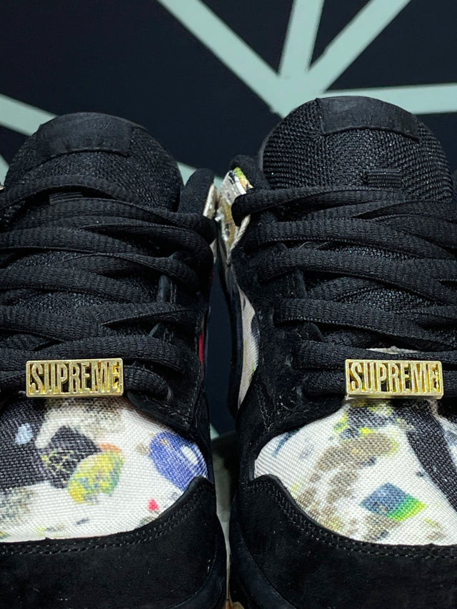 Nike Dunk SB x Supreme